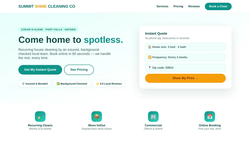 Cleaning company website concept